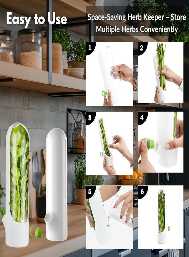 Perfect Pricee حافظ الأعشاب الطازجة المثالي للثلاجة – حاوية تخزين أعشاب محكمة الإغلاق | خالية من BPA، حاملة شفافة تحافظ على الكزبرة، النعناع، الكزبرة، البقدونس والمزيد طازجة لفترة أطول (صغيرة) - Image 3