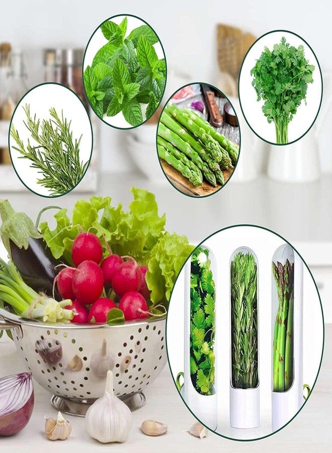 Perfect Pricee حافظ الأعشاب الطازجة المثالي للثلاجة – حاوية تخزين أعشاب محكمة الإغلاق | خالية من BPA، حاملة شفافة تحافظ على الكزبرة، النعناع، الكزبرة، البقدونس والمزيد طازجة لفترة أطول (صغيرة) - Image 5