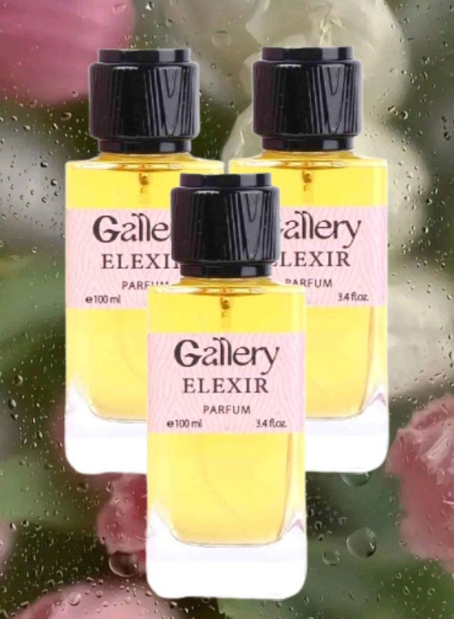 Gallery 3 Pieces Gallery Elexir Perfume 100ML - Image 1