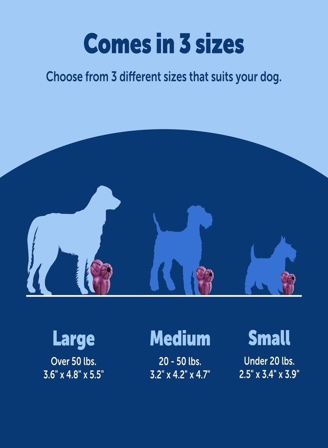 بيت سيف لعبة بيت سيف بيزي بادي بارناكل - لعبة لتحفيز ذكاء الكلاب وتوزيع المكافآت - مصنوعة من المطاط الطبيعي - تصميم متين - آمنة للغسل في غسالة الصحون - مزودة بتقنية قياس المكافآت - مثالية لزبدة الفول السوداني - حجم كبير - Image 5