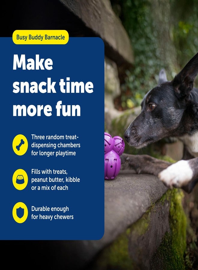 بيت سيف لعبة بيت سيف بيزي بادي بارناكل - لعبة لتحفيز ذكاء الكلاب وتوزيع المكافآت - مصنوعة من المطاط الطبيعي - تصميم متين - آمنة للغسل في غسالة الصحون - مزودة بتقنية قياس المكافآت - مثالية لزبدة الفول السوداني - حجم كبير - Image 2