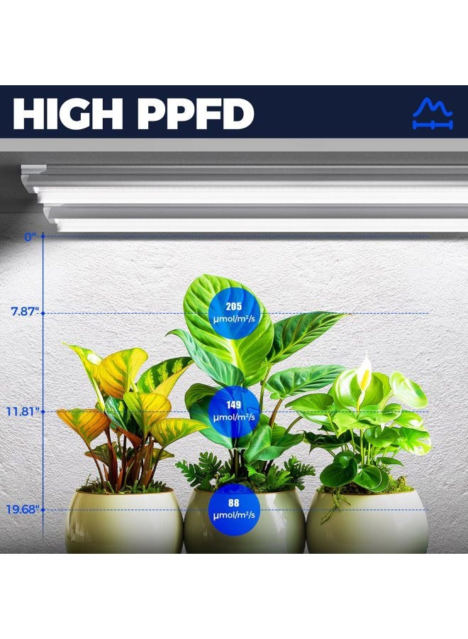 Barrina Plant Grow Light, 3ft 5000K Super Bright, T8 Solar Light Strips Full Spectrum, 180W (6x30W, 1000W Equivalent), Grow Light Bulbs for Indoor Plants, Pack of 6 - Image 4