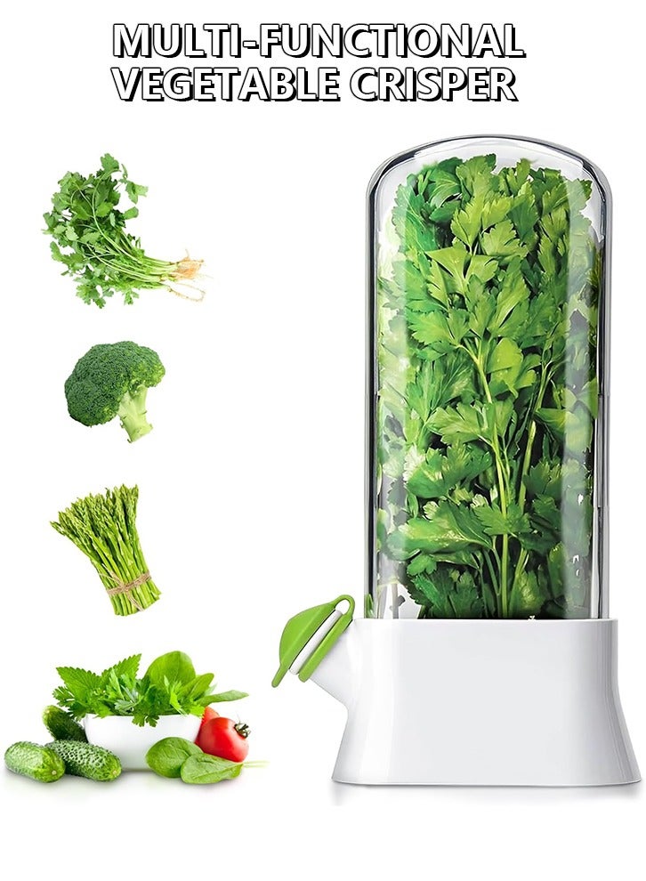 Vanilla vegetable fresh-keeping box, pressure resistant and environmentally friendly fresh-keeping device, creative coriander fresh-keeping cup - Image 1