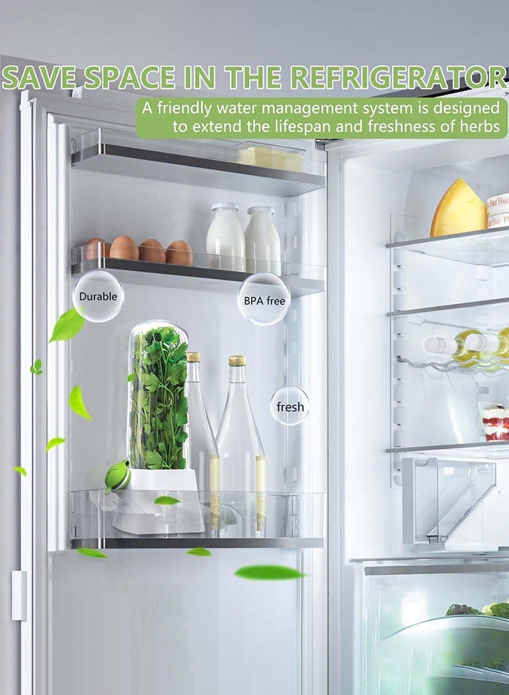 Vanilla vegetable fresh-keeping box, pressure resistant and environmentally friendly fresh-keeping device, creative coriander fresh-keeping cup - Image 4