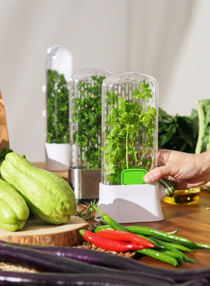 Vanilla vegetable fresh-keeping box, pressure resistant and environmentally friendly fresh-keeping device, creative coriander fresh-keeping cup - Image 5