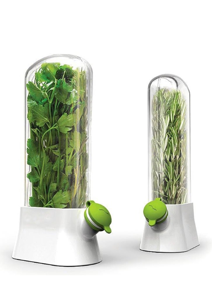 Vanilla vegetable fresh-keeping box, pressure resistant and environmentally friendly fresh-keeping device, creative coriander fresh-keeping cup - Image 3