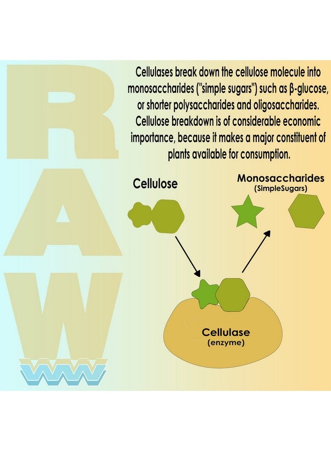 Raw Enzymes 2Oz - Potent Plant Enzyme Blend For Enhanced Nutrient Uptake And Healthy Root Development - Image 3