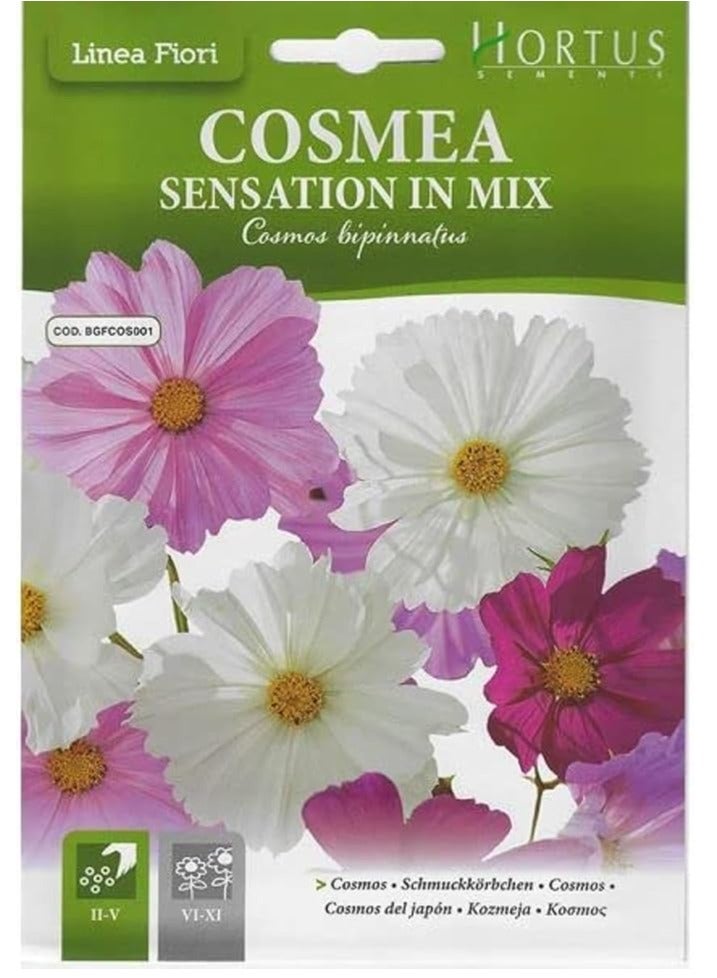 هورتس بذور Hortus Cosmos Mix عالية الجودة (Cosmea Sensation In Mix) (صنع في إيطاليا) من Hortus Sement - Image 1