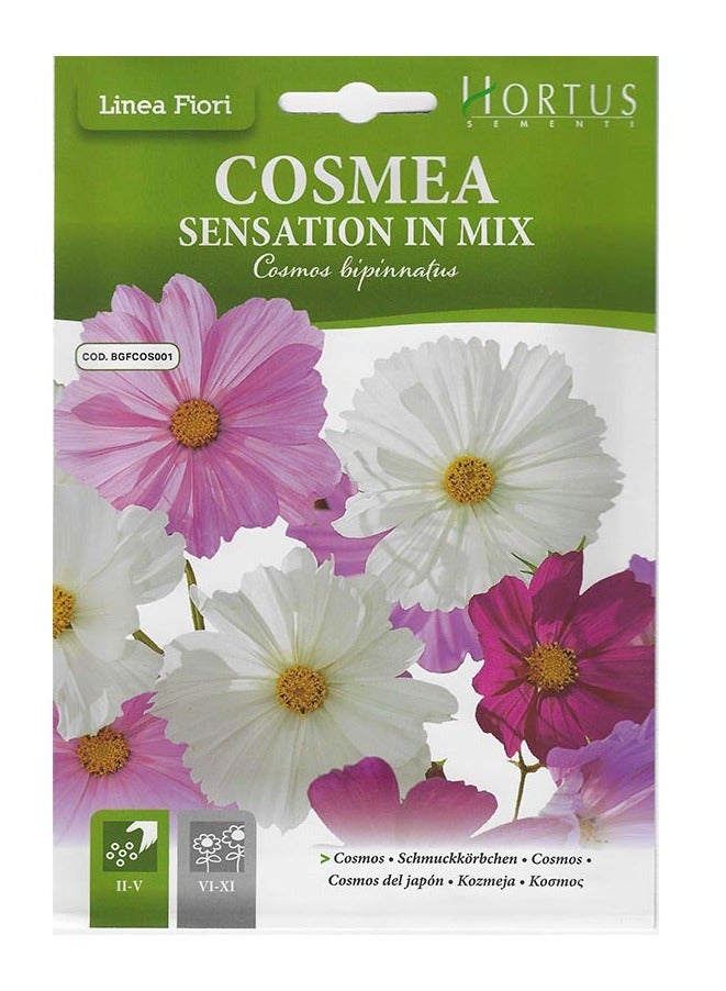 هورتس بذور Hortus Cosmos Mix عالية الجودة (Cosmea Sensation In Mix) (صنع في إيطاليا) من Hortus Sement - Image 2