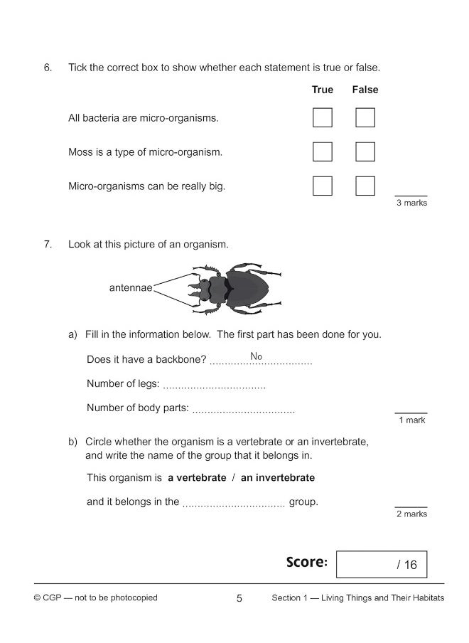 null - New KS2 Year 6 Science 10-Minute Tests - Image 1