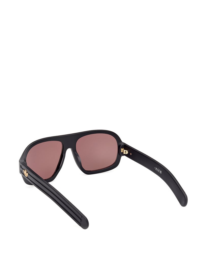 Wayfarers Sunglasses - pzsku/ZFF74D5C976E5DD8D93F9Z/45/_/1729666101/88b470fa-6604-4cd7-81af-d875cf1851b2