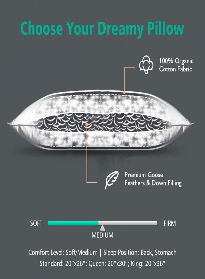 APSMILE Organic Feather Down Pillows Set of 2, Standard Size Bed Pillows for Sleeping with 100% Cotton Cover, 3-Chamber Hybrid Feather Down Core Pillow Surrounded by Polyester, 20x26 Inches - Image 3