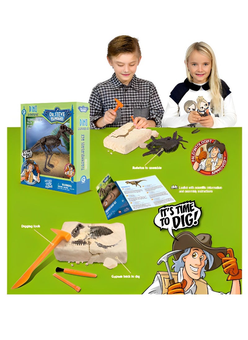 Dr. Steve Hunters Skeleton Set 3D Fossil (Tyrannosaurus Skeleton Model) High-Quality Educational Realistic and Science Kits Excavation Toys for Kids Museum Quality Replica Fun and Amazing Gift  - Image 4