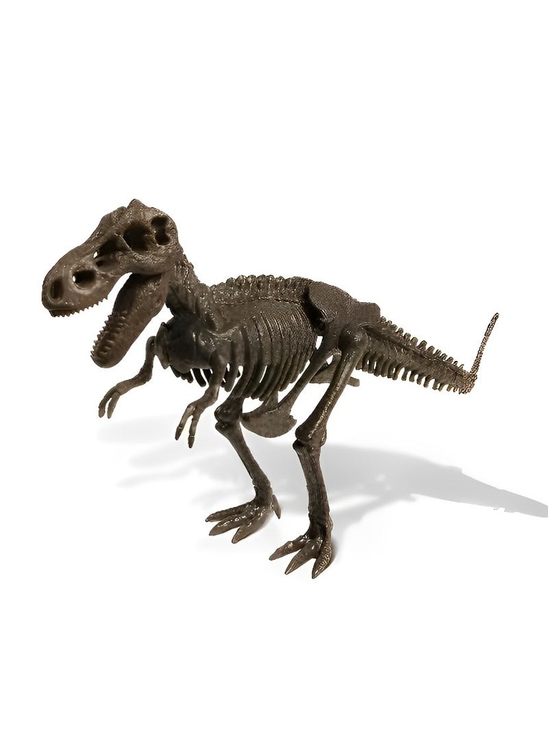 Dr. Steve Hunters Skeleton Set 3D Fossil (Tyrannosaurus Skeleton Model) High-Quality Educational Realistic and Science Kits Excavation Toys for Kids Museum Quality Replica Fun and Amazing Gift  - Image 2