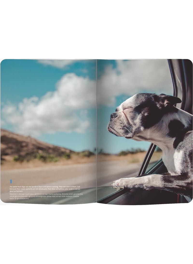 Le Color Flexible Cover Notebook 144 Pages Dog Lover 10.5 x 18.58 cm  - Image 2