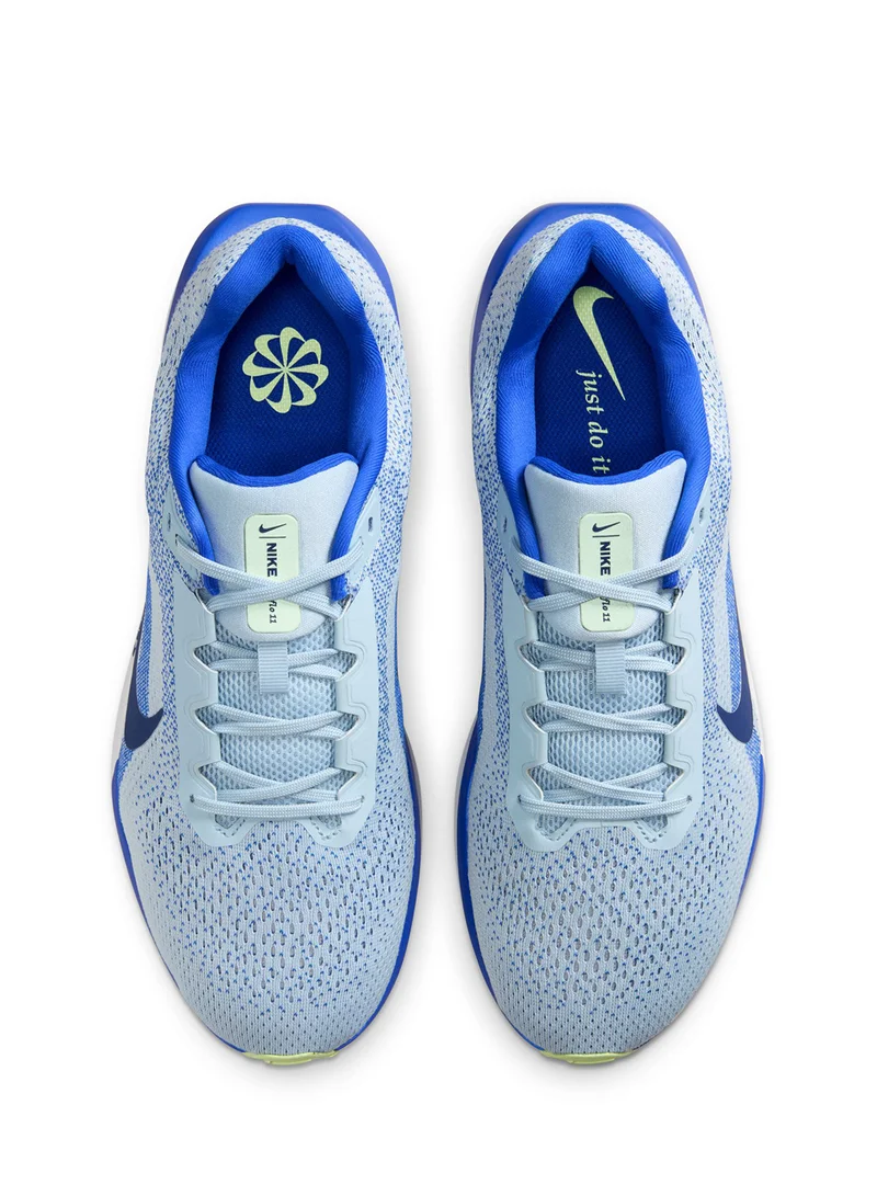 Nike Nike Winflo 11