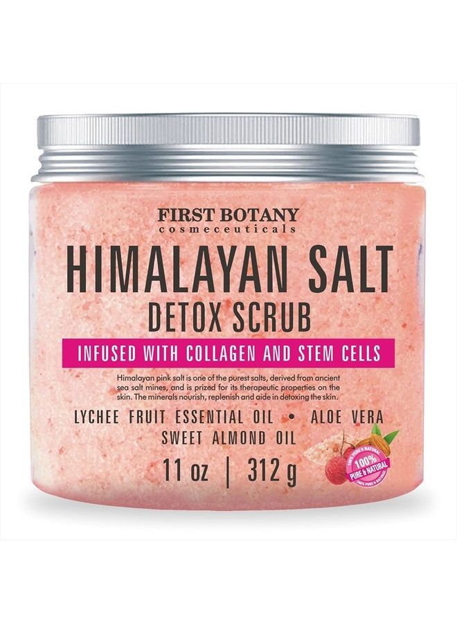 First Botany Himalayan Salt Body Scrub with Collagen and Stem Cells - Natural Exfoliating Salt Scrub & Body and Face Souffle helps with Moisturizing Skin, Acne, Cellulite, Dead Skin Scars, Wrinkles (11 oz) - Image 1