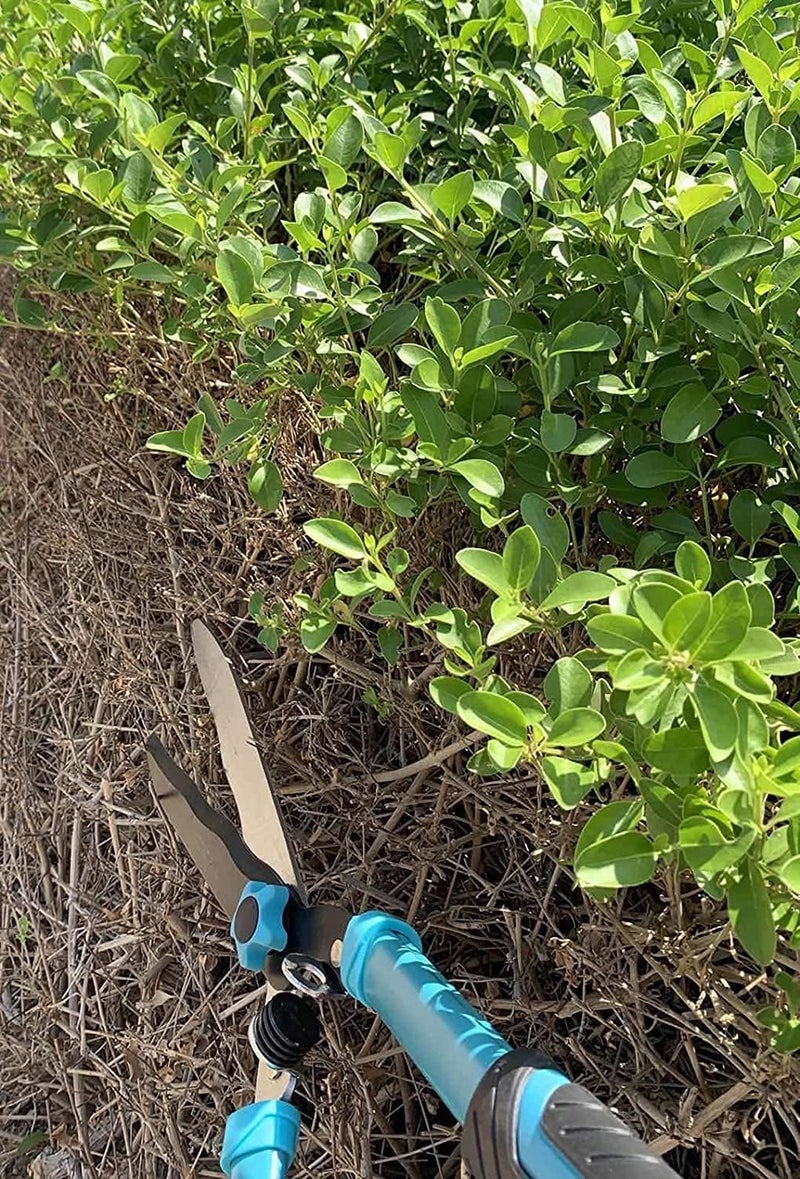 AQ AQSON مقصات حديقة AQSON - مقصات من الفولاذ المقاوم للصدأ بطول 21 بوصة مع مقHandles مريحة لتقليم البوكسوود والشجيرات - Image 5