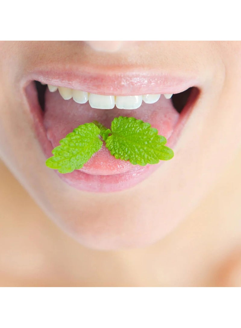 بيبرمينتس شرائح النعناع 24 شريحة - Image 3