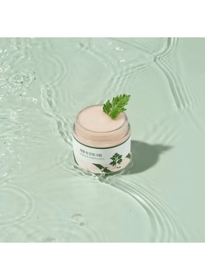 ROUND LAB Mugwort Calming Cream 80 ml - Image 4