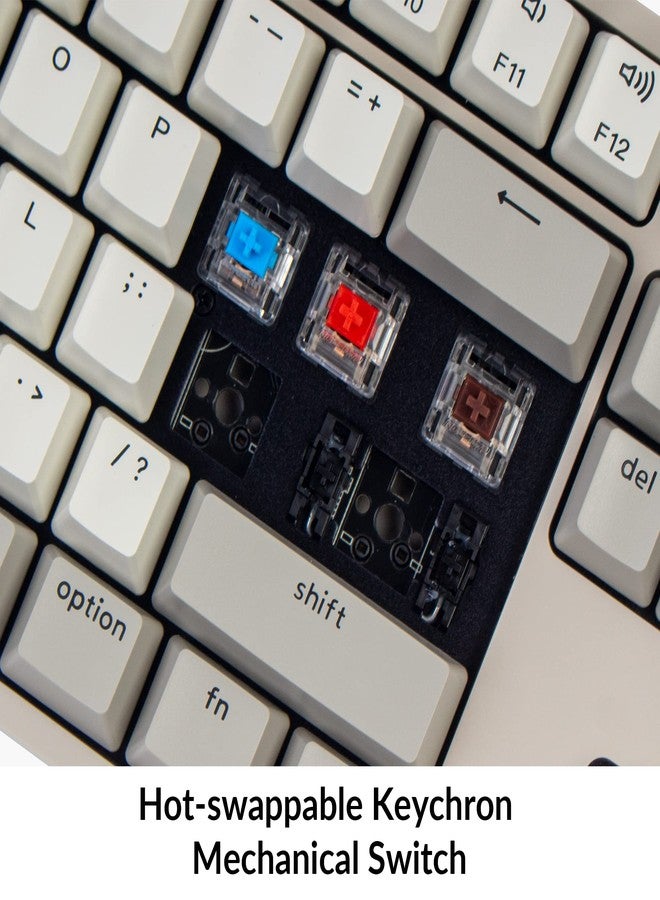 Keychron C2 Full Size Hot-swappable Wired Mechanical Keyboard Compatible with Mac, Keychron Brown Switch, 104 Keys ABS Retro Color Keycaps Gaming Keyboard for Windows, USB-C Type-C Braid Cable - Image 4