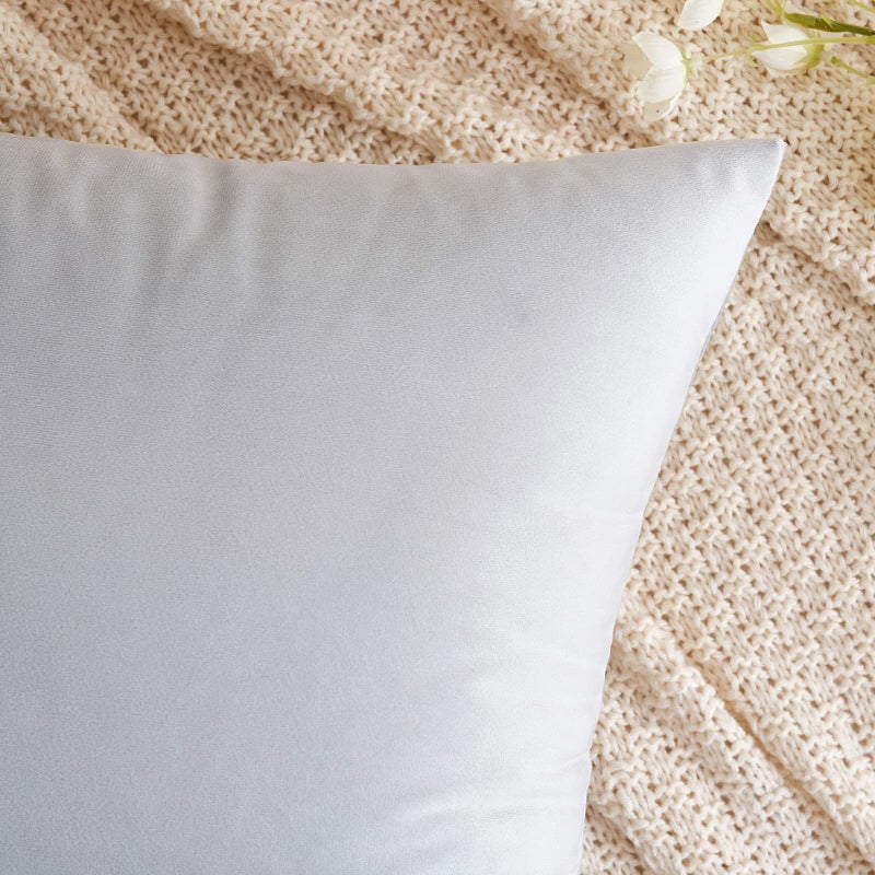 EMEMA Pack of 2 Velvet Pillow Covers Decorative Square Pillowcase Soft Solid Cushion Case for Sofa Bedroom Car 20x20 Inch Greyish White - Image 2