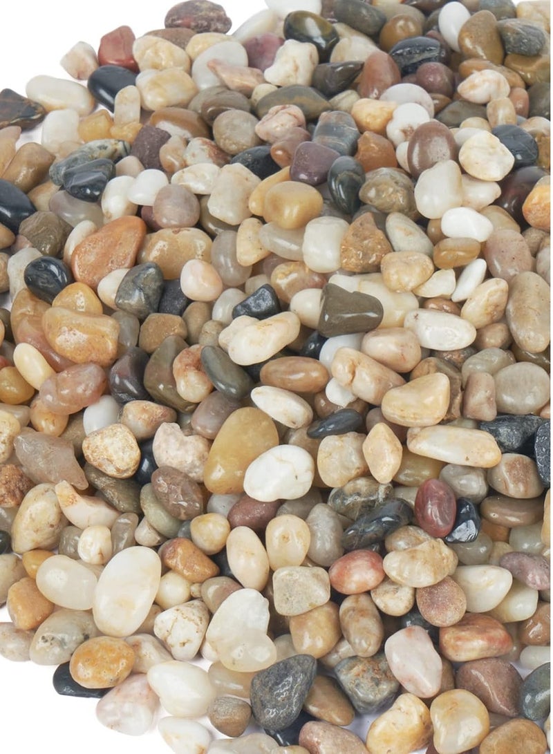 vsell24 2kg Natural Small Decorative River Stones For Gardening Aquariums Landscaping Vase Fillers and Terrarium  - Image 1