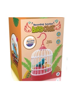 Toy Box Hanging Singing Bird Chirping and Real Time Talk Recording Toy  - Image 1