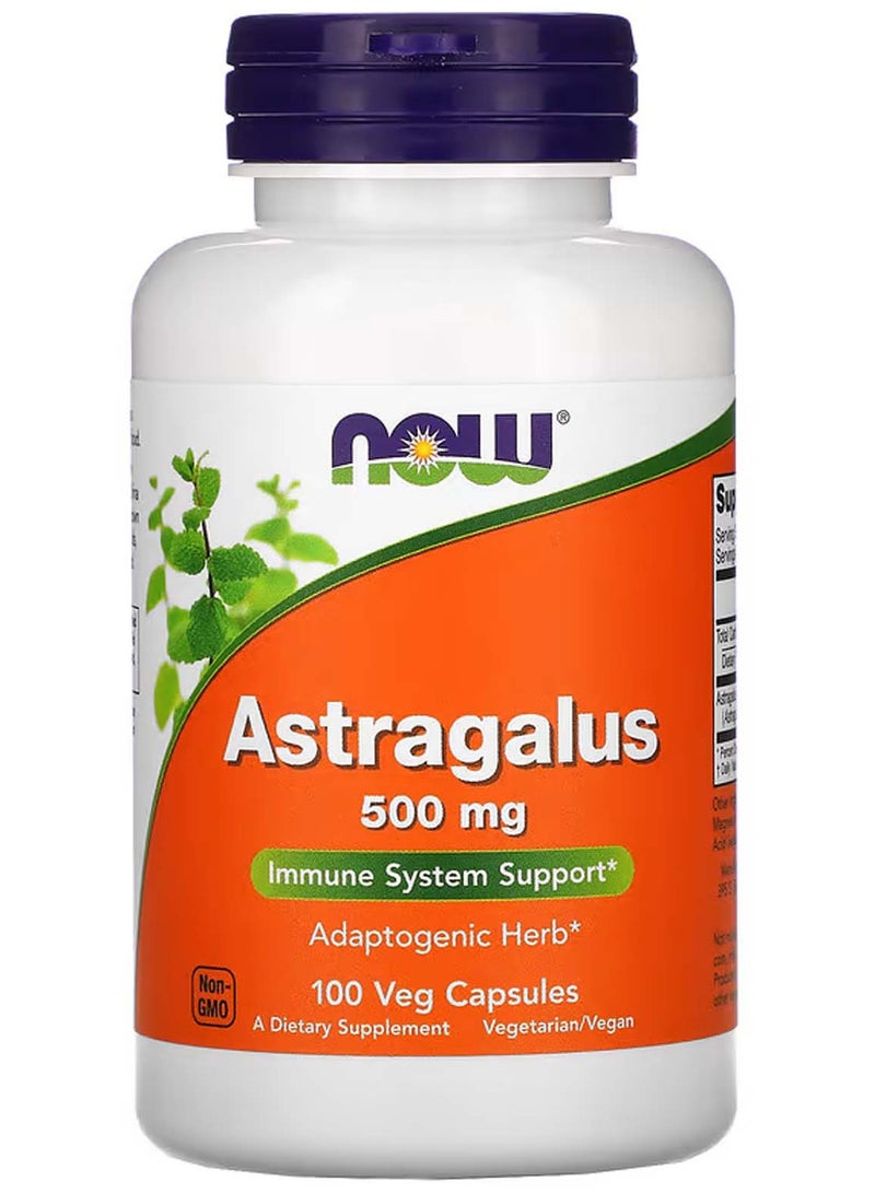 now Astragalus, Immune System Support, 500 mg - 100 Vegetarian Capsules - Image 1