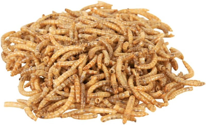 Trixie Dried Mealworms for Reptiles - 70G - Image 2