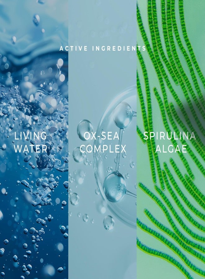 Kanpeki Bridal Bright 10 Step Oxygen Facial Kit with Living Water | Hydrating, Purifying & Youthful Radiance Ritual, Glow & Fine Line Care | Infused with Spirulina & Vital Minerals | Suitable for All Skin Types - Image 4