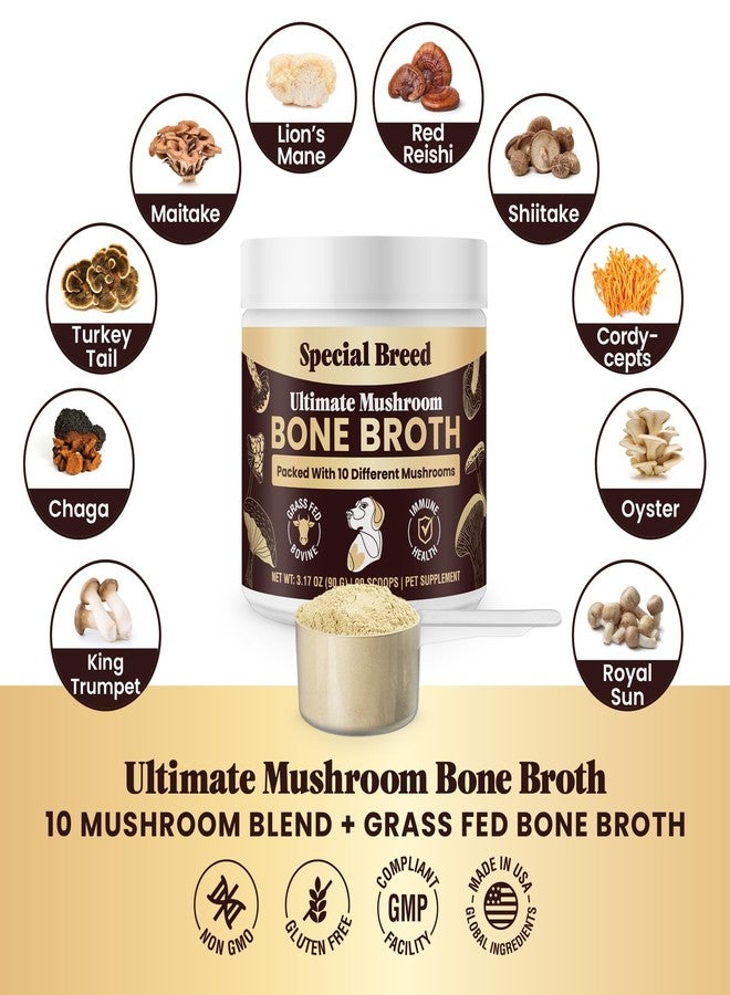 Special Breed Beef Bone Broth for Dogs - High Protein Powder with Ten Organic Mushrooms & Collagen - Immune, Joint, Digestion & Cognitive Support - Tasty Dog Food Topper - Natural Hydration Booster - Image 3