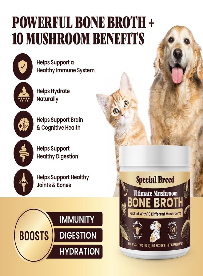 Special Breed Beef Bone Broth for Dogs - High Protein Powder with Ten Organic Mushrooms & Collagen - Immune, Joint, Digestion & Cognitive Support - Tasty Dog Food Topper - Natural Hydration Booster - Image 2
