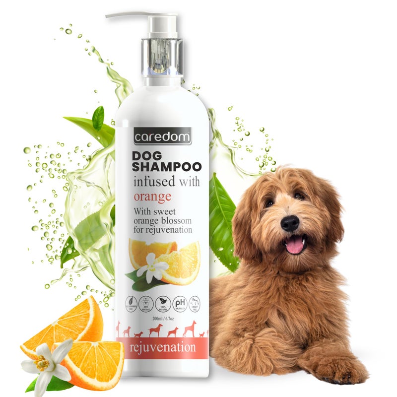 Caredom Luxury Pet Shampoo for Dogs | Dog Shampoo Enriched with Sweet Orange Blossom for Rejuvenation | SLS & PARABEN Free (200 ML) - Image 1