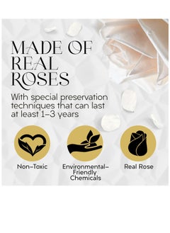 Excefore Forever Flowers Round Box, 7 Piece Preserved Roses, Immortal Roses That Last A Year, Eternal Rose Preserved Flowers for Delivery Prime Mothers Day & Valentines Day, White  - Image 5