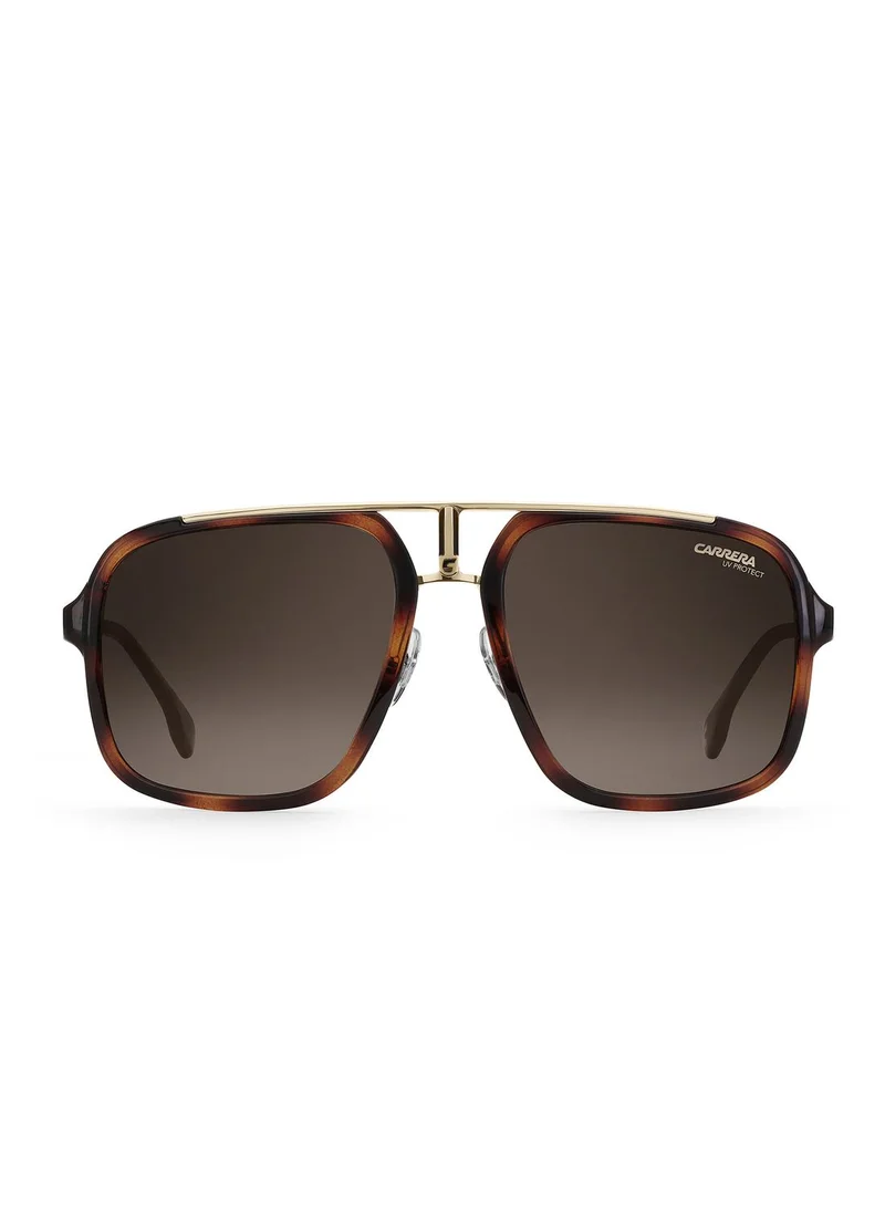 Carrera Aviator Sunglasses