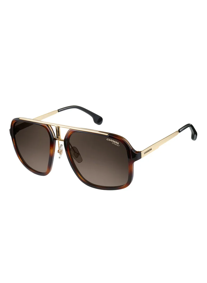 Carrera Aviator Sunglasses