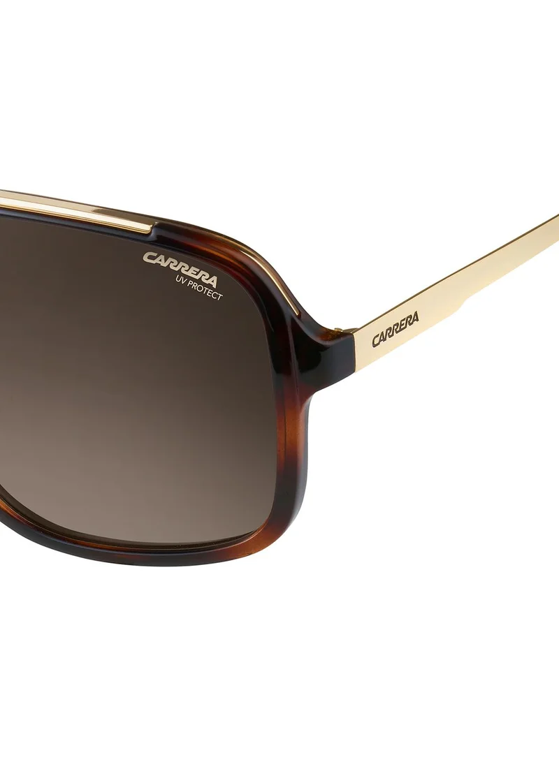 Carrera Aviator Sunglasses