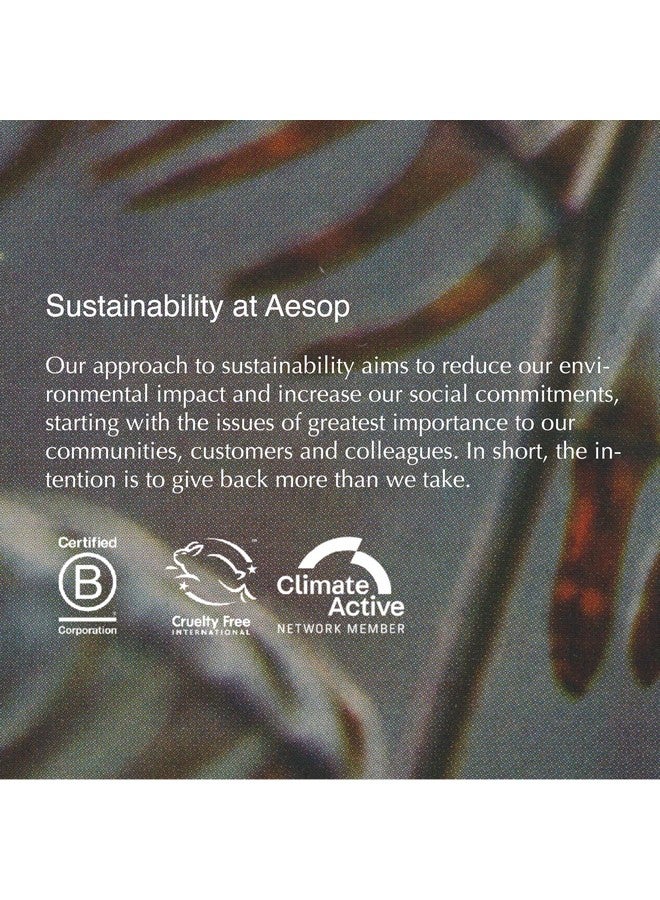 أيسوب غسول اليدين الرغوي ريفيرنس أروماتيك 500 مل/16.9 أونصة من البارابين، نباتي وخالي من القسوة (عبوتان) - Image 5