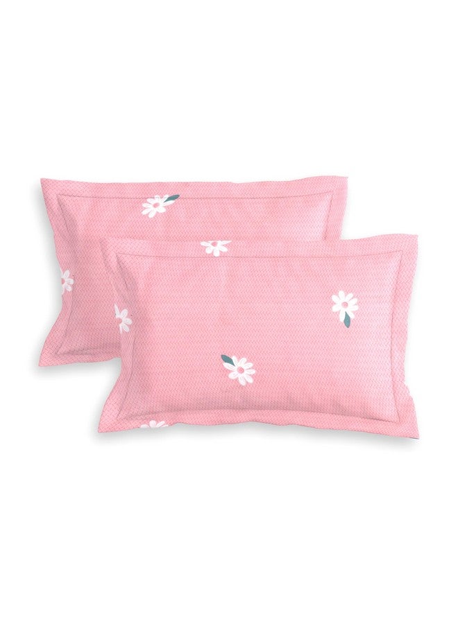 RD TREND® Presents Luxurious Glace Cotton Super Soft 210 TC 360° Elastic Fitted Bedsheet King Size (78X72X8 Inch) with 2 Pillow Covers, Color- Cream Pink Pattern-Floral - Image 3