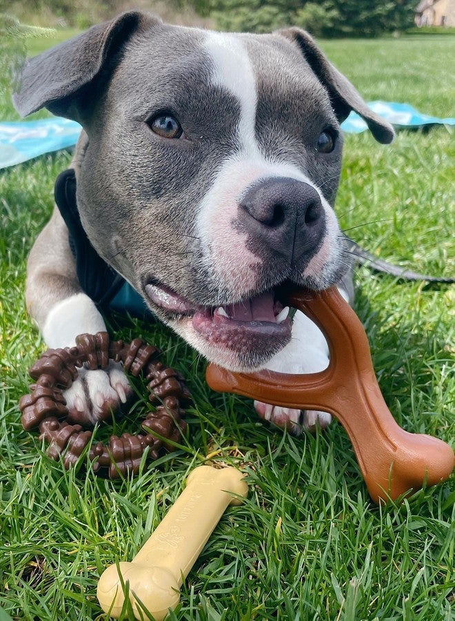 Nylabone Power Chew Customer Favorites Dog Chew Toy Bundle Pack of 3 Small/Regular - Up to 25 lbs. - Image 2