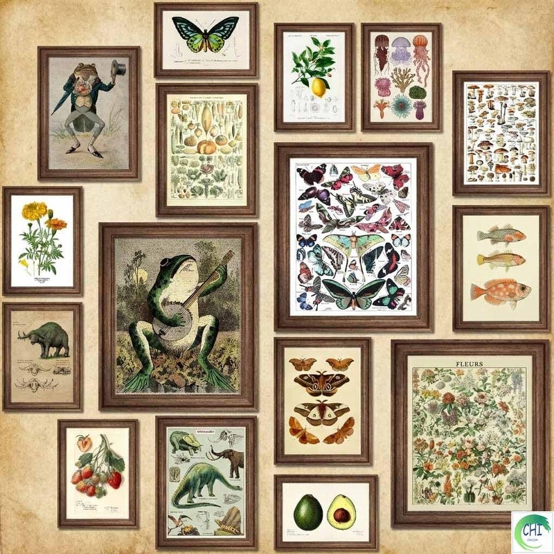 LANCHI95 6 Pcs Vintage Botanical Wall Art Set â€“ Unframed Aesthetic Cottagecore Decor, Antique Frog, Mushroom, Butterfly & Floral Nature Prints - Gallery Wall Kit (3x 8x10, 6x 5x7, 7x 4x6) (UNFRAMED) - Image 1