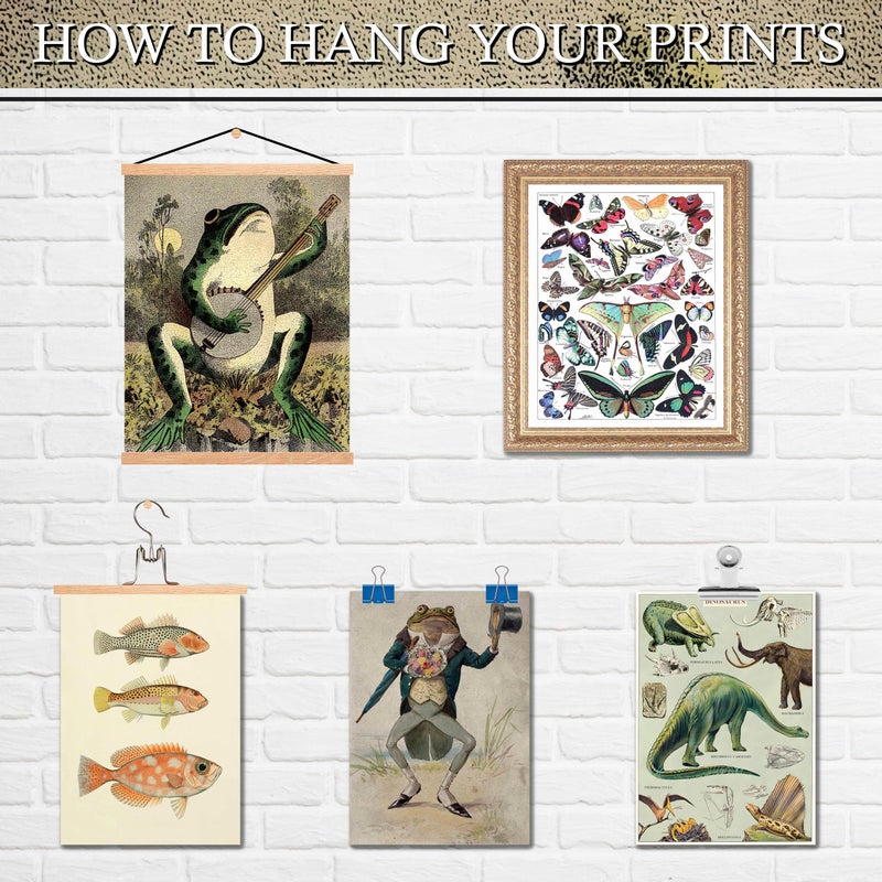 LANCHI95 6 Pcs Vintage Botanical Wall Art Set â€“ Unframed Aesthetic Cottagecore Decor, Antique Frog, Mushroom, Butterfly & Floral Nature Prints - Gallery Wall Kit (3x 8x10, 6x 5x7, 7x 4x6) (UNFRAMED) - Image 5