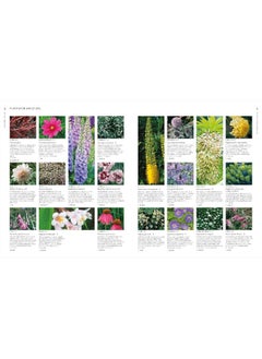 RHS What Plant Where Encyclopedia: An Expert Guide to More Than 3,000 Plants  - Image 2