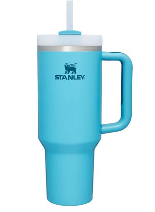 Stanley Quencher 2.0  Stainless Steel Vacuum Insulated Tumbler with Lid and Straw for Water, Iced Tea or Coffee, Pool,40oz/1180ml - pzsku/ZFF8ACFD9000D1B632AACZ/45/_/1711009748/2007adb1-eb83-4284-bb1f-5bf9313b106b