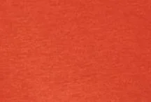 Liquorish Cropped Sweatshirt in Orange