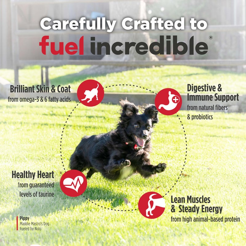 Nulo FreeStyle Small Breed Dog Food Dry - Beef & Sweet Potato, Puppy & Adult Grain Free Dog Food, Natural, High Protein, Smaller Sized Kibble with BC30 Probiotic for Healthy Digestion Support, 6lb Bag - Image 4