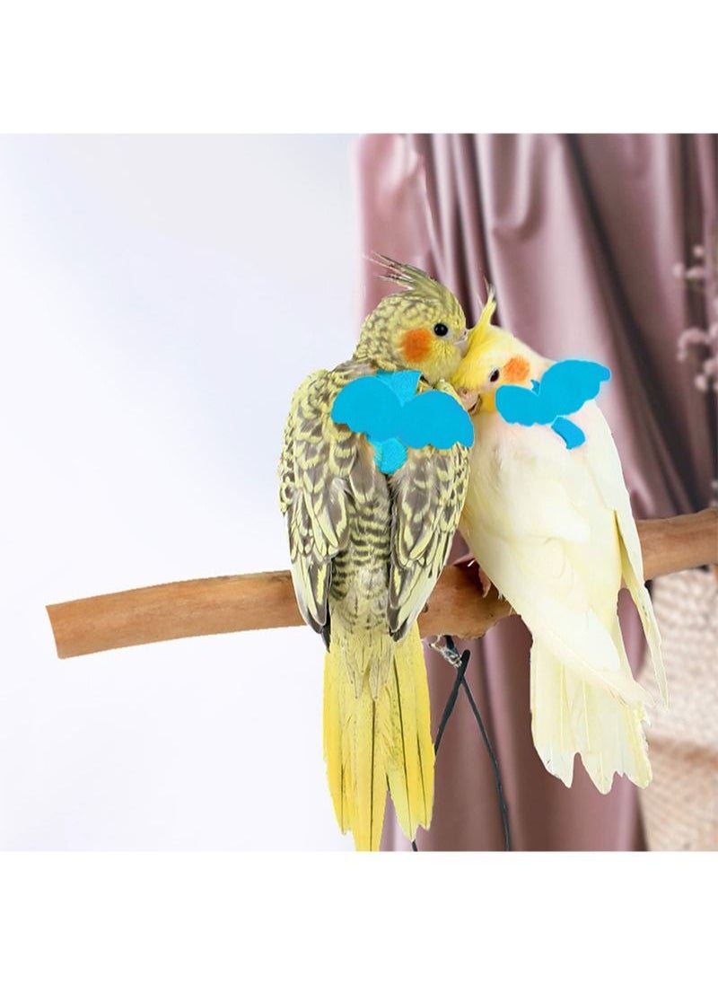 EZdenK - Parrot Flight Harness with Wings/Ultralight Leash - Image 1