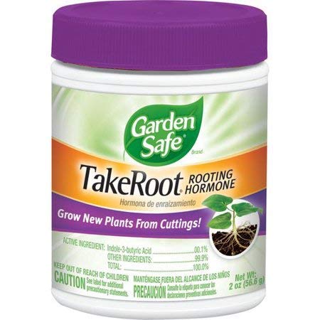 Garden Safe TakeRoot Rooting Hormone for Plants, 2-Ounce (1 Pack) Made in USA - Image 5
