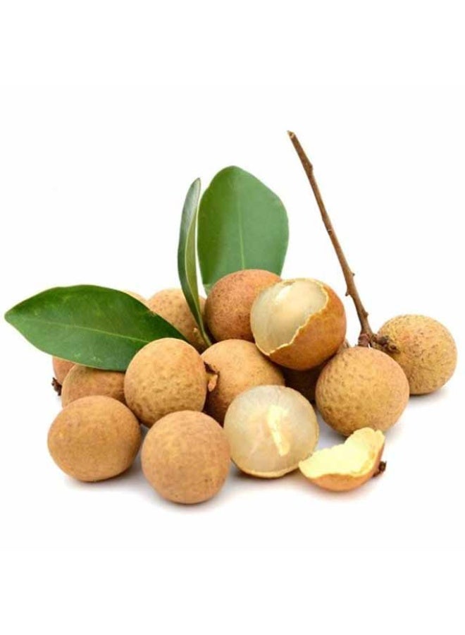 Longans, 500g, Thailand